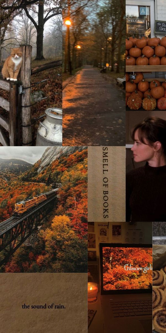 40 Autumn Collage Ideas Patchwork of Fall’s Beauty : Rory Gilmore Girls Vibe