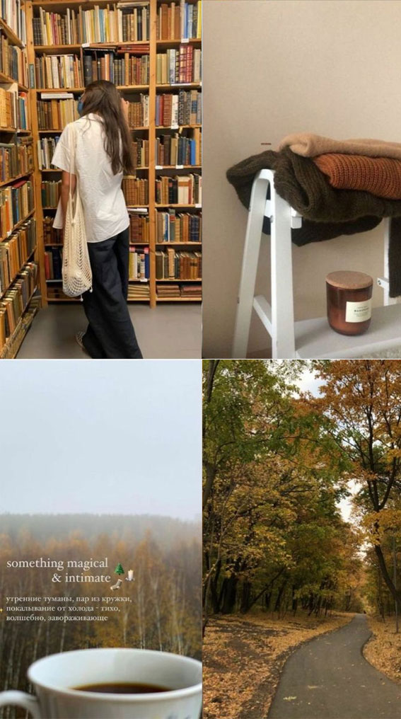40 Autumn Collage Ideas Patchwork of Fall’s Beauty : Library & Sweater Season