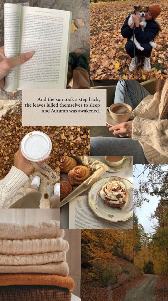 40 Autumn Collage Ideas Patchwork of Fall’s Beauty : Autumn Was Awakened