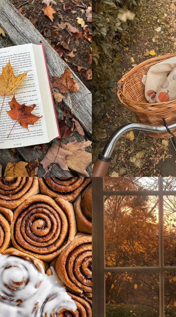 40 Autumn Collage Ideas Patchwork of Fall’s Beauty : Fall Leaves Collage