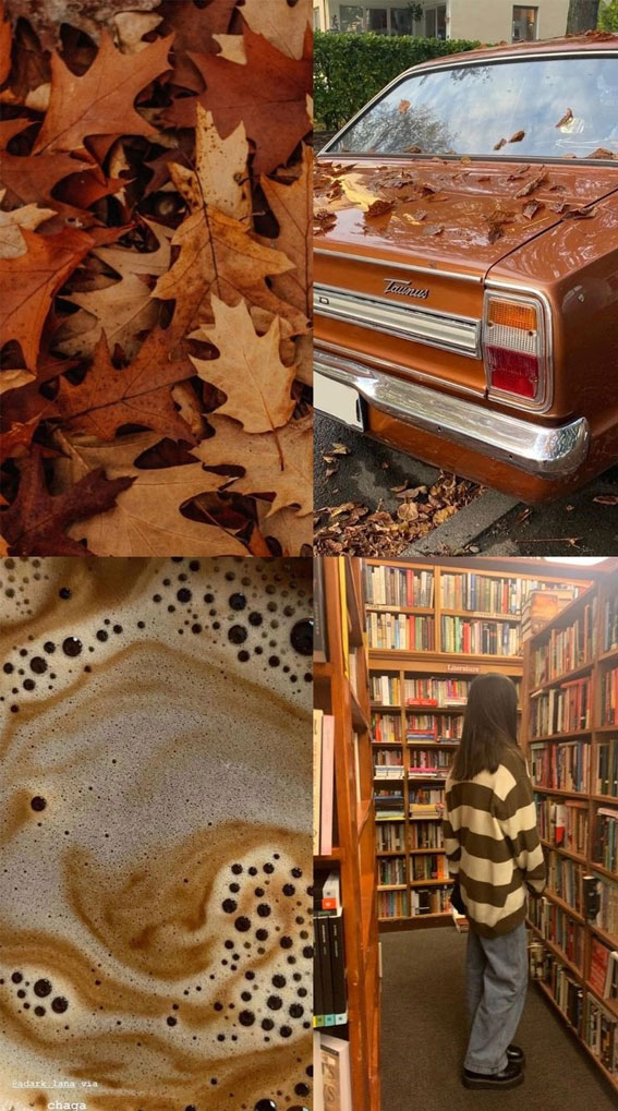 40 Autumn Collage Ideas Patchwork of Fall’s Beauty : Brown Leaves