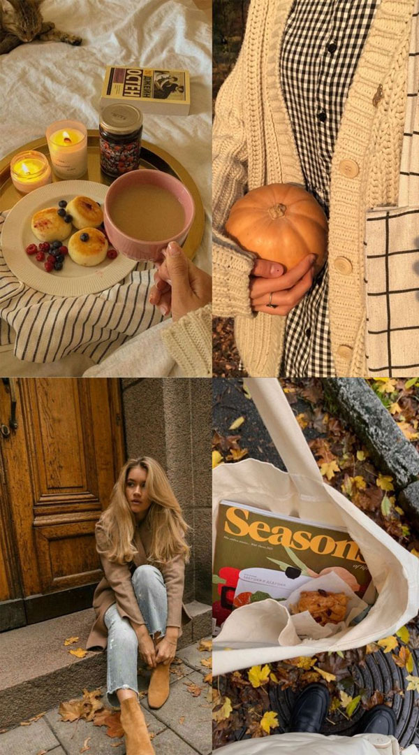 Collages of Fall’s Splendor : Cozy Season