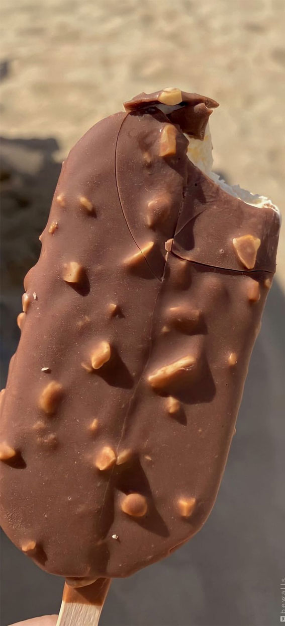 Indulgent Eats 50+ Foodgasmic Delights : Hazelnut Chocolate Ice Cream