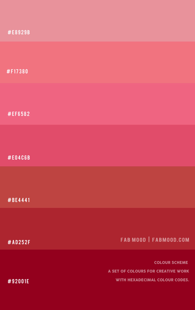 Rose Berry Colour, Rose Berry Color Shades, rose berry, roseberry color