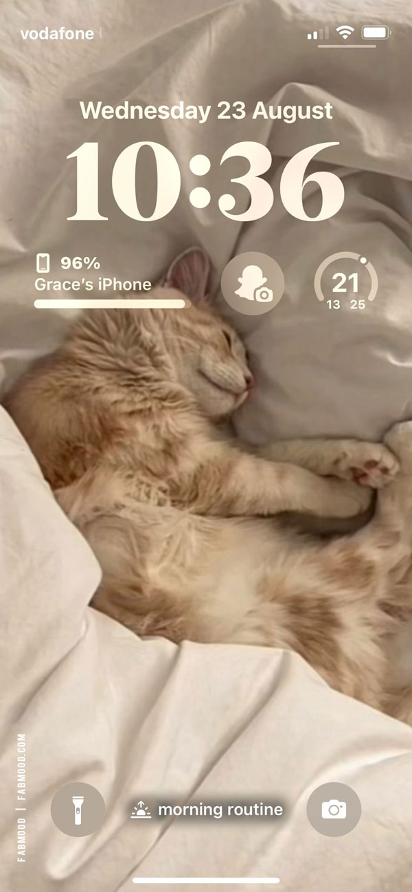 15 Cute iPhone Home Screen Ideas : Cozy Cat