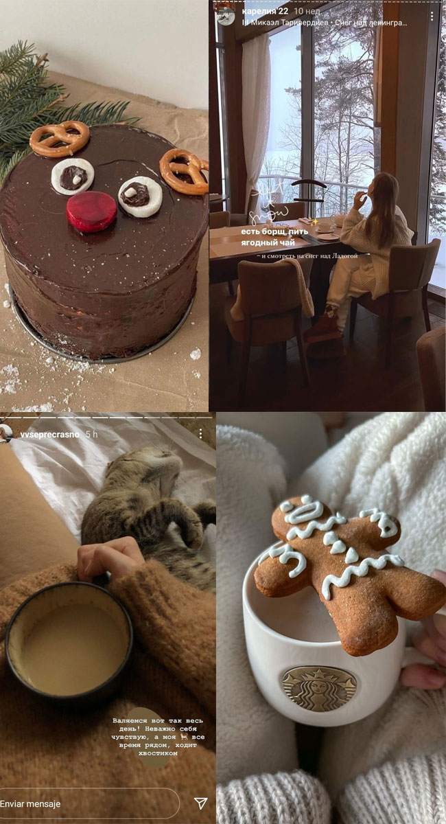 Winter Whisper Collage Ideas : Reindeer Chocolate Cake