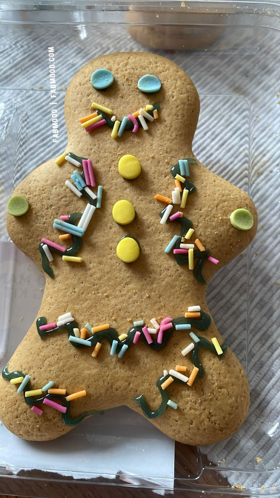 Temptation on a Plate Food Snapshot : A Colourful Gingerbread Man