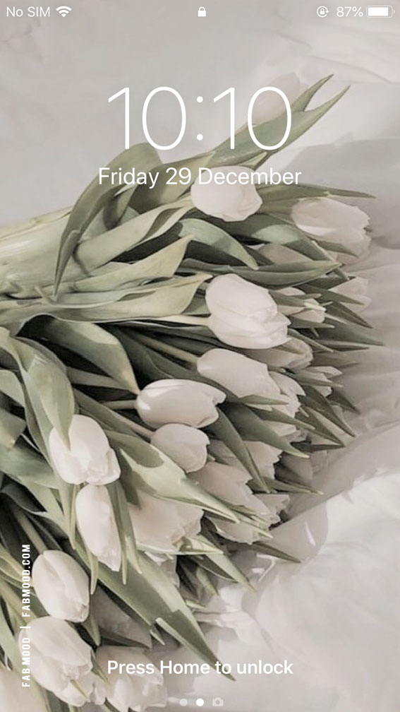 White Serenity Home Screen Wallpaper : A Bunch of White Elegance