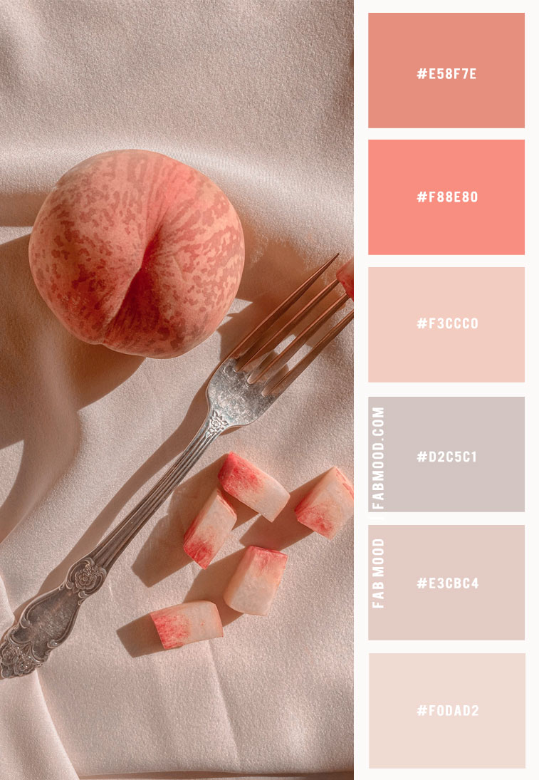 Apricot, Blush Sand & Grey Colour Combo ― Colour Palette 171