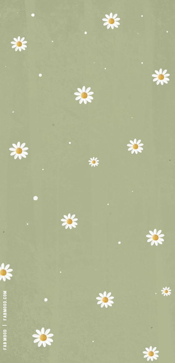 March Wallpaper Ideas for Any Device : Daisy on Vintage Green Wallpaper