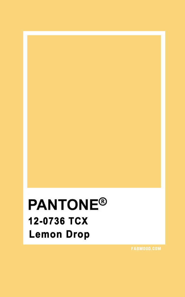 Lemon Drop ― Pantone Fashion Colour Trend Spring 2024