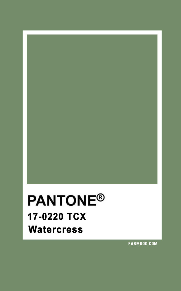 Watercress ― Pantone Fashion Colour Trend Spring 2024