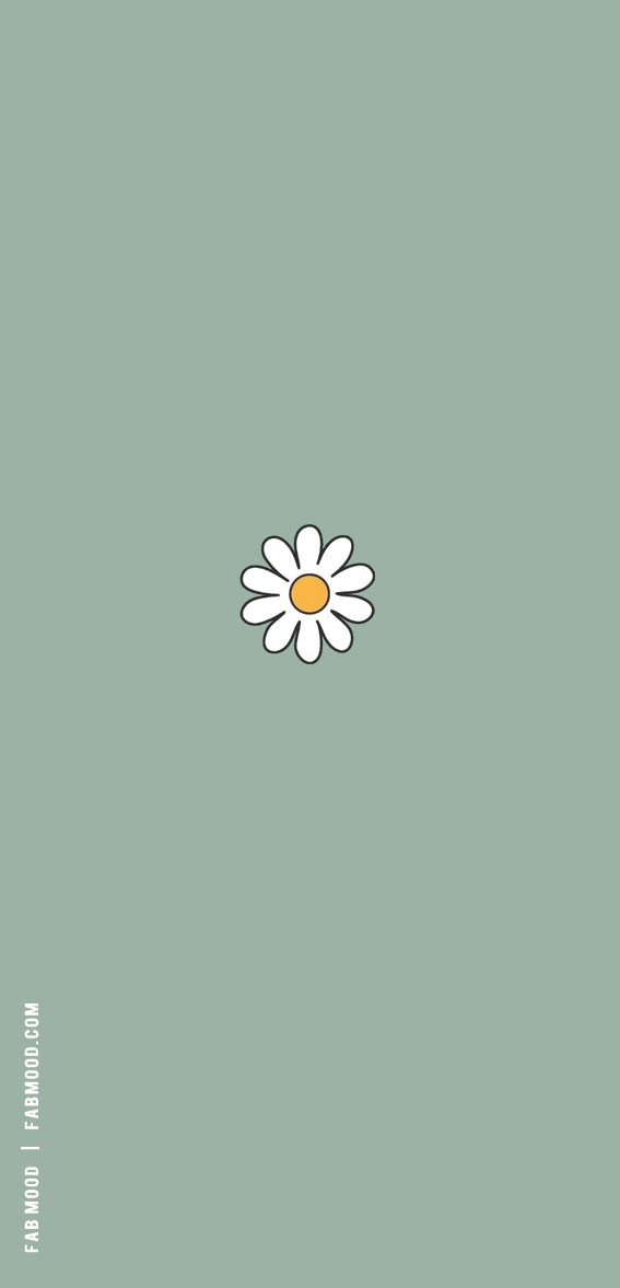 March Wallpaper Ideas for Any Device : A Daisy Green  Wallpaper